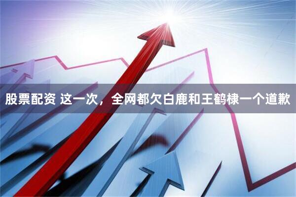 股票配资 这一次,全网都欠白鹿和王鹤棣一个道歉